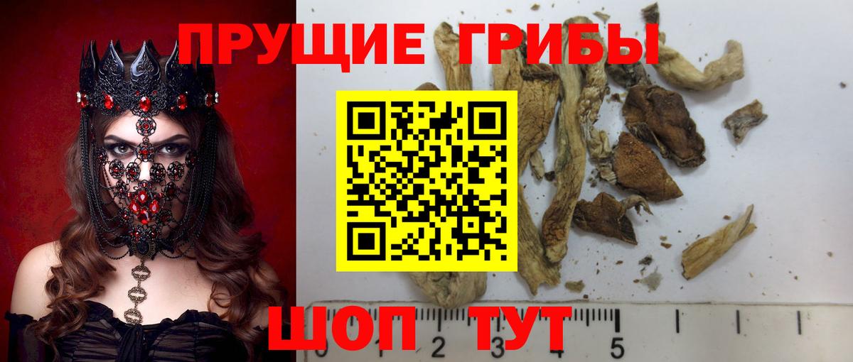 Псилоцибиновые грибы Cubensis  Вход с VPN  купить наркотик  Отрадное 